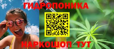 Альфа ПВП Заволжье