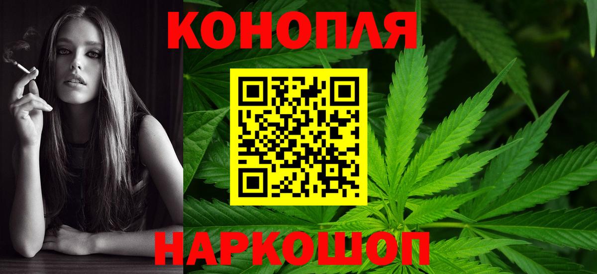 Бошки Шишки план Людиново